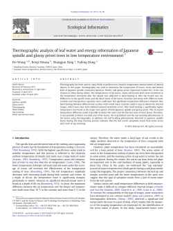 Thermographic analysis of leaf water and energy