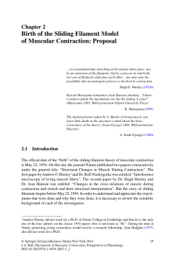 Birth of the Sliding Filament Model of Muscular Contraction: Proposal