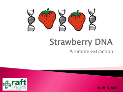 Strawberry DNA - RAFT Bay Area