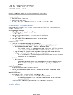 L21-28 Respiratory System