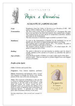 Ethan Frome - Pojer e Sandri