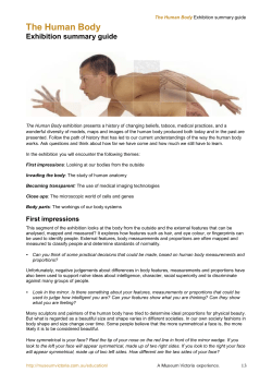 The Human Body - Exhibition Summary Guide