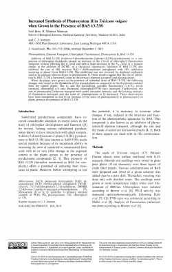 Increased Synthesis of Photosystem II in Triticum vulgare when