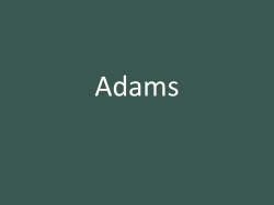 Alien and Sedition Acts - White Plains Public Schools