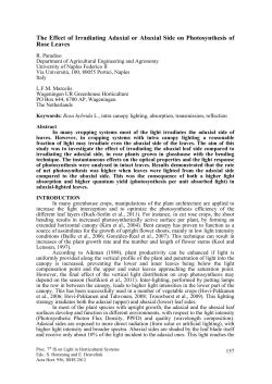 The Effect of Irradiating Adaxial or Abaxial Side on Photosynthesis of