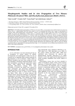 Morphogenetic Studies and In vitro Propagation of Two Mosses