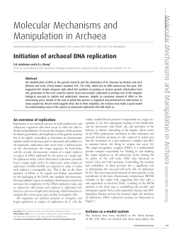 Molecular Mechanisms and Manipulation in