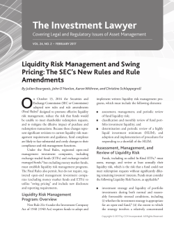 The Investment Lawyer
