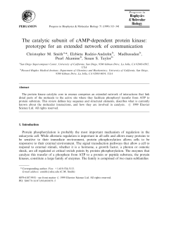 The catalytic subunit of cAMP-dependent protein kinase: prototype
