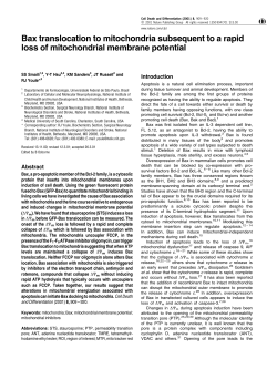 Bax translocation to mitochondria subsequent to a rapid