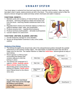 URINARY SYSTEM