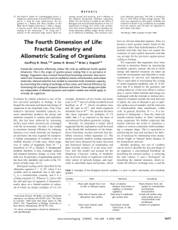 The Fourth Dimension of Life: Fractal Geometry and Allometric