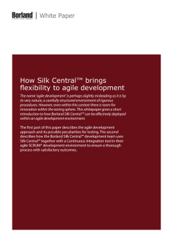 How Silk Central&trade; brings flexibility to agile development