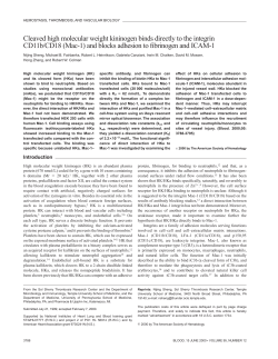 Cleaved high molecular weight kininogen binds directly to the