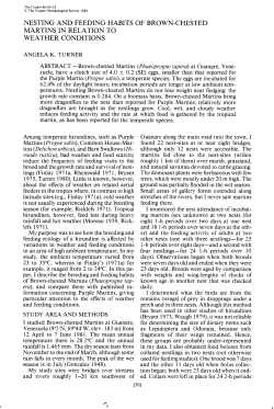 Nesting and Feeding Habits of Brown-chested Martins in Relation to