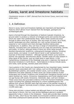 Devon Biodiversity Action Plan