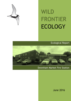 Ecology report - Planning Search