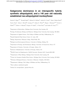 Subgenome dominance in an interspecific hybrid, synthetic