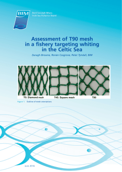Assessment of T90 mesh in a fishery targeting whiting in the Celtic Sea