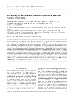 Taxonomy of cultivated potatoes (Solanum section Petota