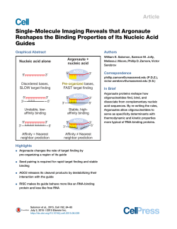 Single-Molecule Imaging Reveals that Argonaute Reshapes the