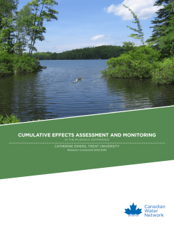 cumulative effects assessment and monitoring