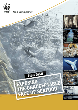 EXPOSING THE UNACCEPTABLE FACE OF SEAFOOD