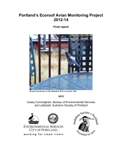 Fall Ecoroof Bird Monitoring Assessment between 9-7-11 and 10