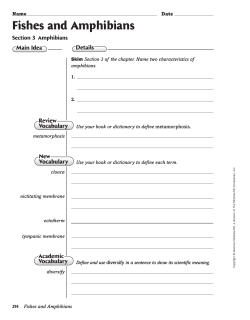 Fishes and Amphibians