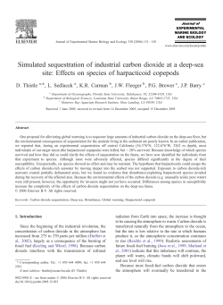 Simulated sequestration of industrial carbon dioxide at a deep