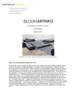 pdf - David Nolan Gallery