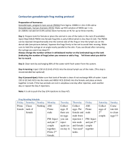 Detailed Frog Breeding Protocol
