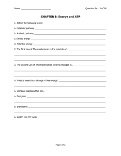 CHAPTER 8: Energy and ATP