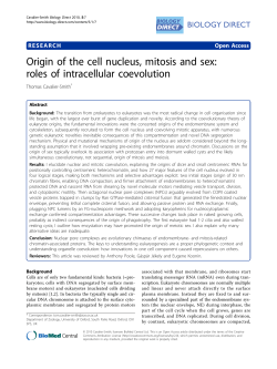 Origin of the cell nucleus, mitosis and sex: roles of