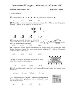 International Kangaroo Mathematics Contest 2010