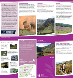 Corrie Fee - Scottish Natural Heritage