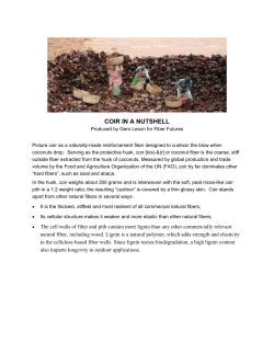 coir in a nutshell - Sustainable