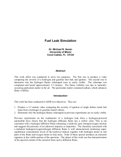 Fuel Leak Simulation