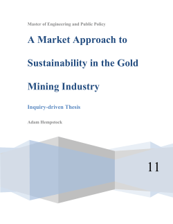 A Market Approach to Sustainability in the Gold Mining Industry