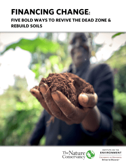 Financing Change: Five Bold Ways