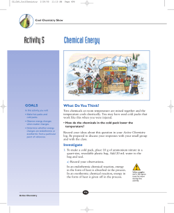 Activity 5 Chemical Energy