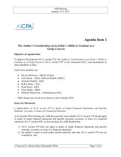 Agenda Item 1