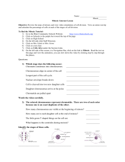 Mitosis - Blair Schools