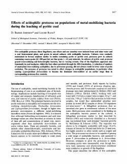Effects of acidophilic protozoa on populations of