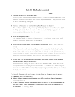 Quiz #6 - Echolocation post test