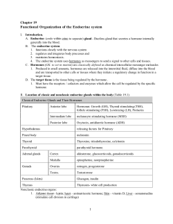 Functional Organization of the Endocrine system