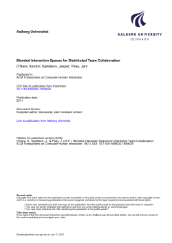 Blended Interaction Spaces for Distributed Team - VBN