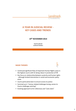 a year in judicial review - key cases and trends