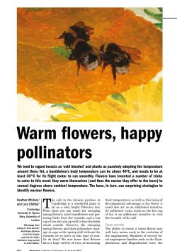 Warm flowers, happy pollinators - Lars Chittka