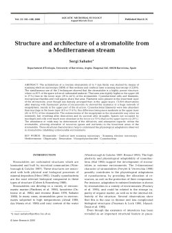 Structure and architecture of a stromatolite from a Mediterranean